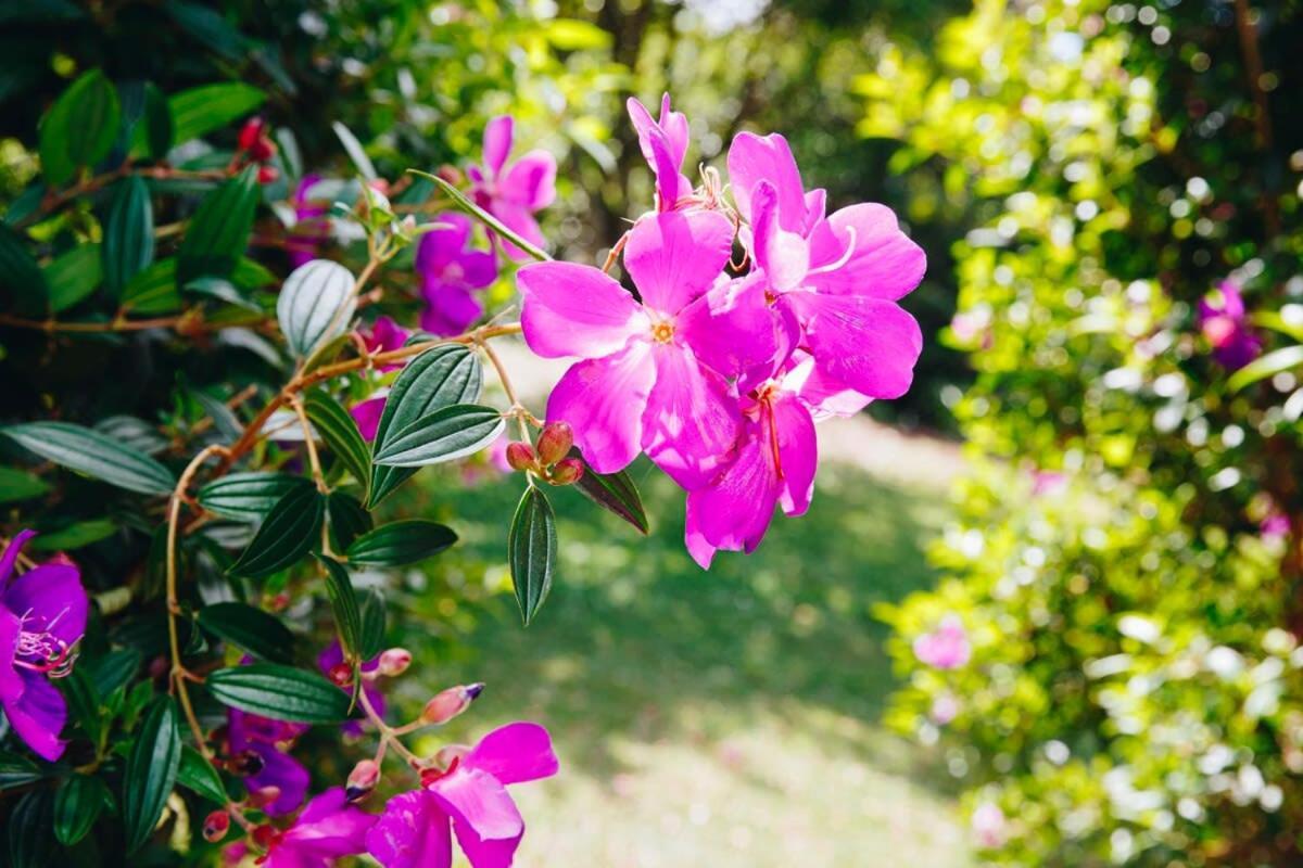 Flaxton Garden Home With Spectacular Coastal Views มอนต์วิลล์ ภายนอก รูปภาพ